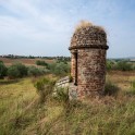 Casale con oliveto nel Monferrato