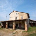 Casale con oliveto nel Monferrato