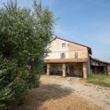 Casale con oliveto nel Monferrato