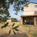 Casale con oliveto nel Monferrato