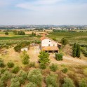 Casale con oliveto nel Monferrato