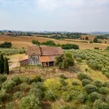 Casale con oliveto nel Monferrato