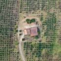 Casale con oliveto nel Monferrato