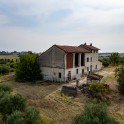 Casale con oliveto nel Monferrato