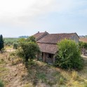 Casale con oliveto nel Monferrato