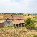 Casale con oliveto nel Monferrato