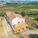 Casale con oliveto nel Monferrato