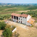 Casale con oliveto nel Monferrato