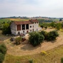 Casale con oliveto nel Monferrato